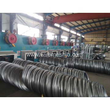 Steel Wire Rods-Galvanized Iron Wire